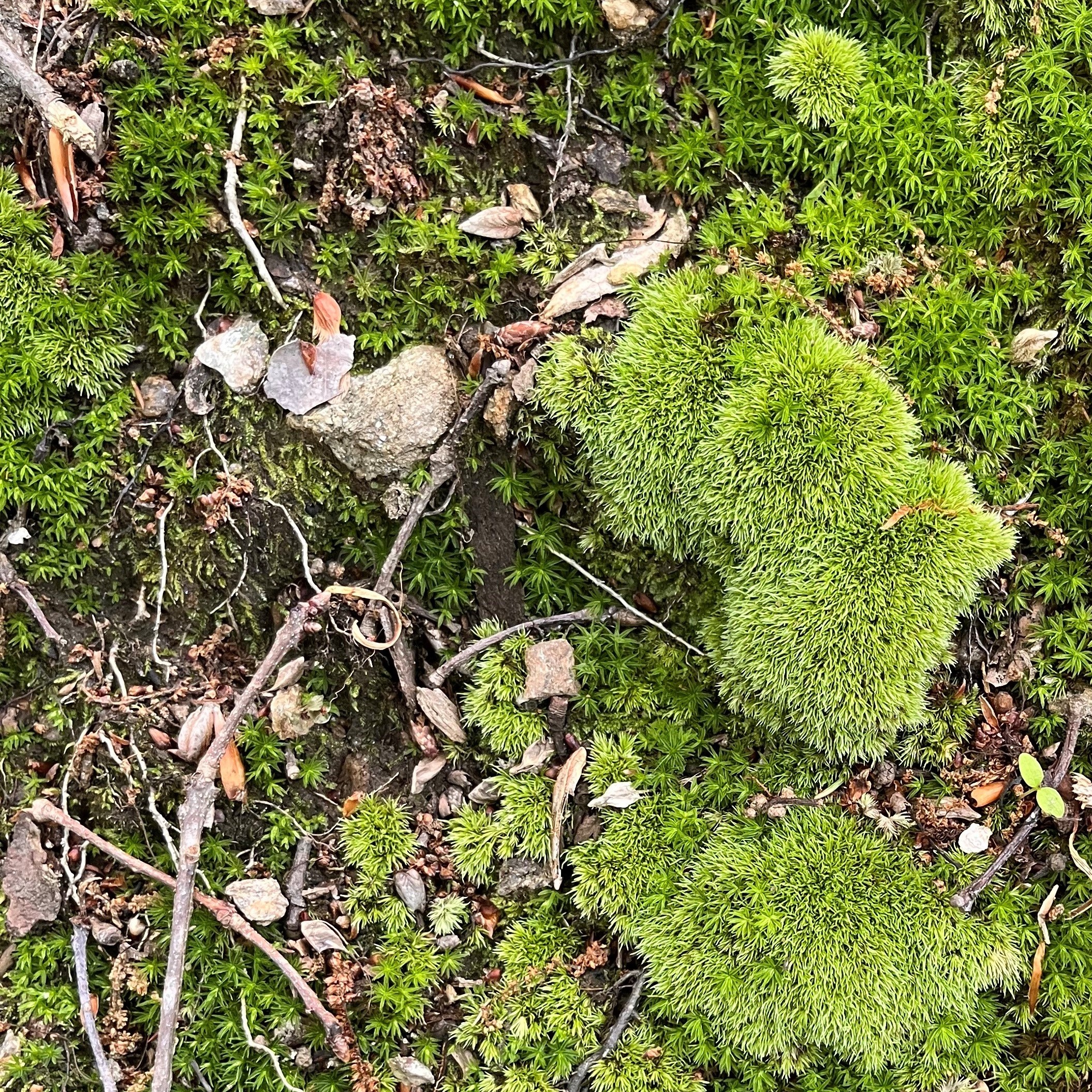 Emily Mercier | Transformational Change Strategist