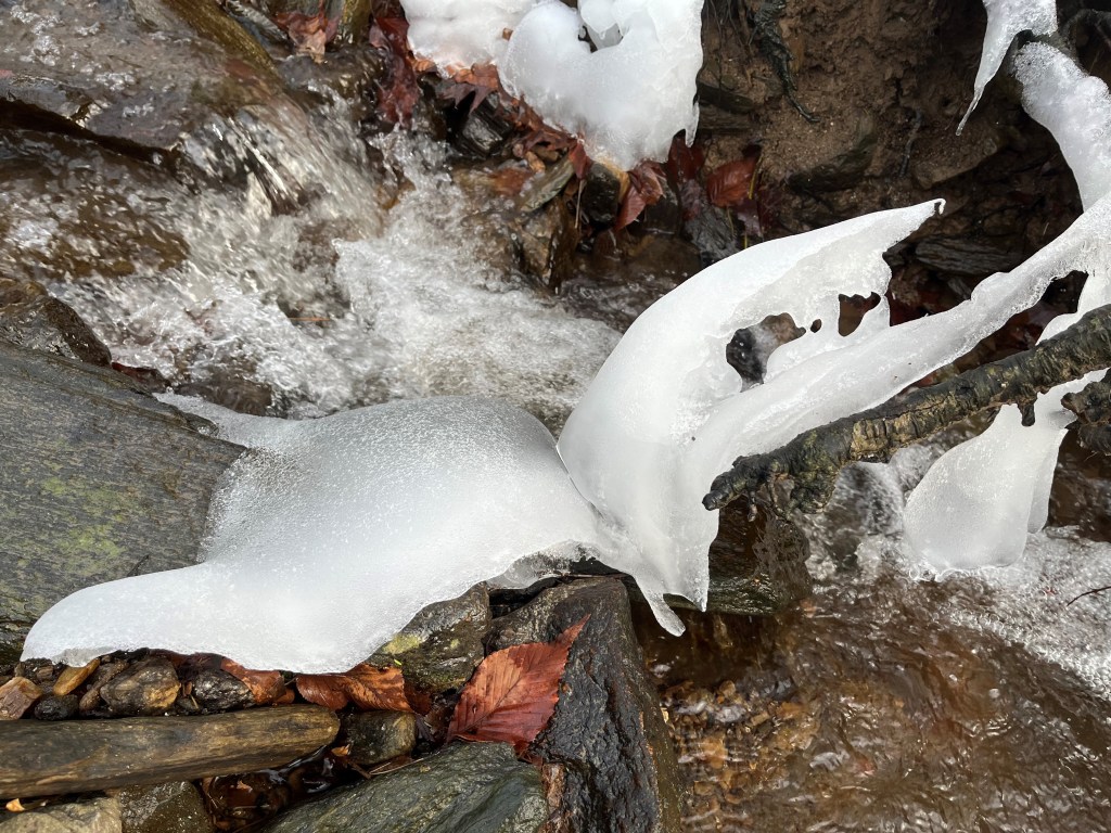 Accidental "ice ray" in one of my favorite bends in the creek (Wissahickon trail, Philadelphia, PA) Emily Mercier | January 2025