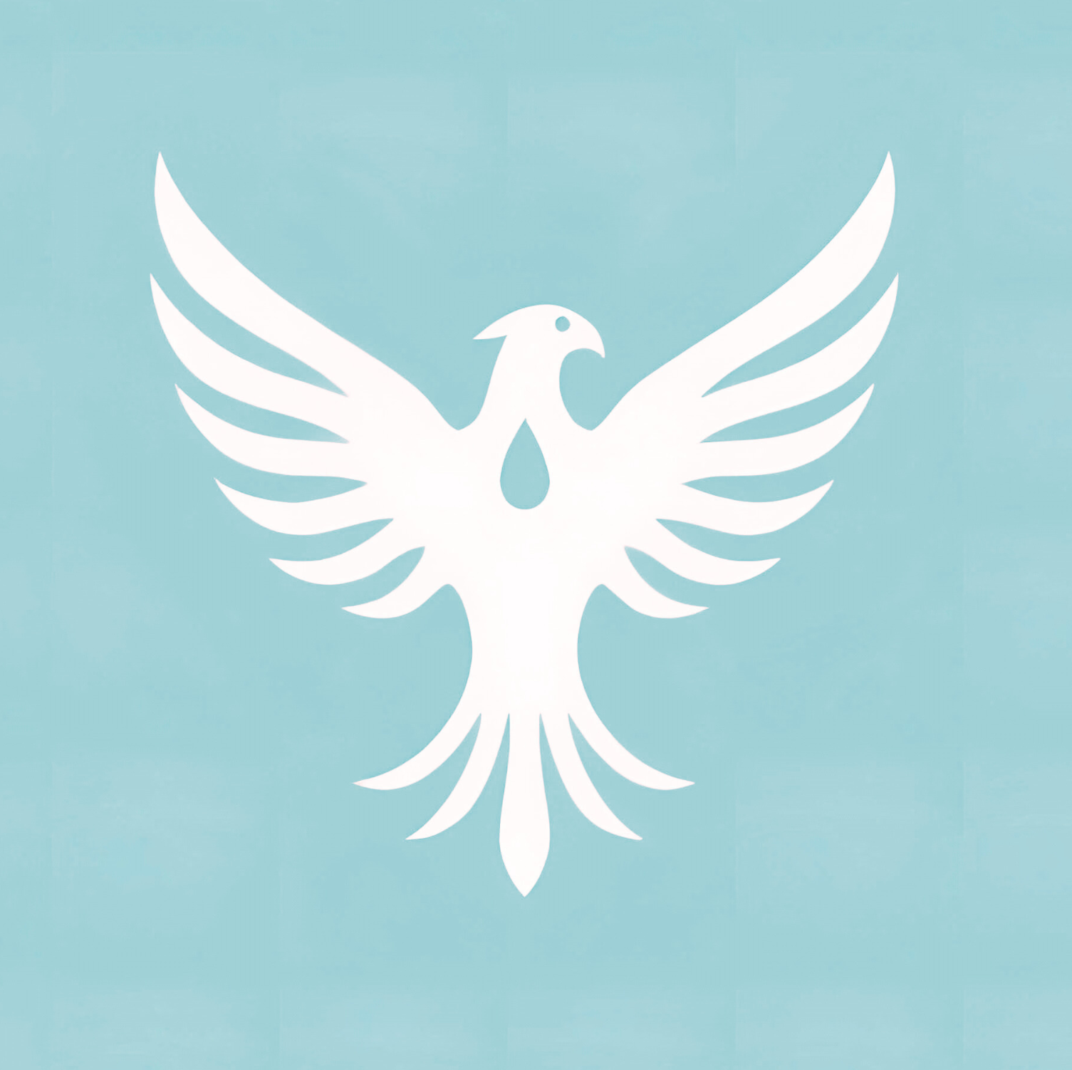 Emily Mercier | Transformational Change Strategist